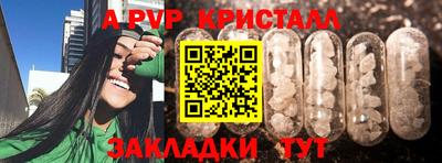 крисы Можга