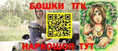 крисы Можга
