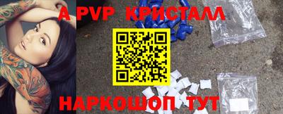 крисы Можга
