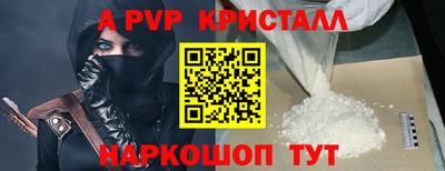 крисы Можга