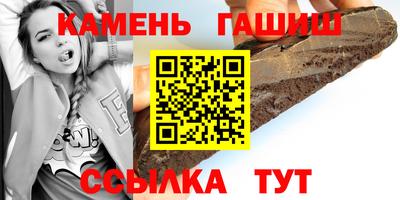 крисы Можга