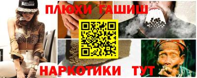 крисы Можга