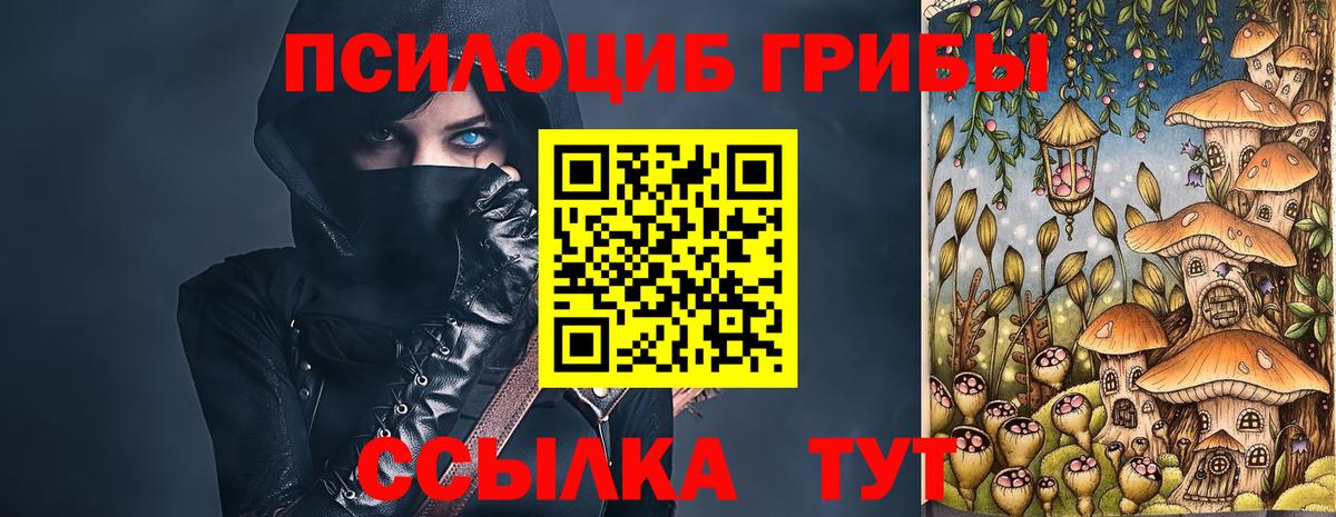 Дивногорск  Галлюциногенные грибы Psilocybe  Псилоцибиновые грибы мицелий  Вход с VPN 